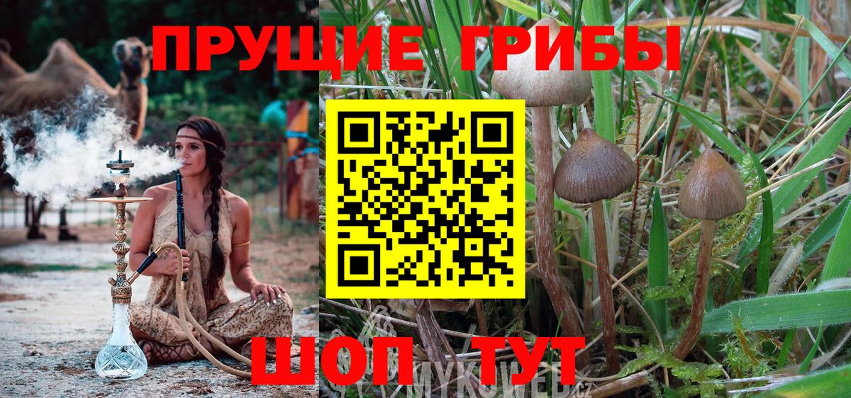 Псилоцибиновые грибы ЛСД  Вход с VPN  Топки 